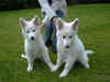 elliot sally1.JPG (848294 Byte)